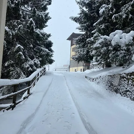 Il Cirmolo