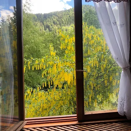 Il Cirmolo Apartment *